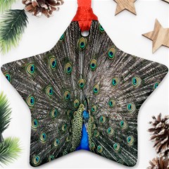 Peacock-feathers1 Star Ornament (two Sides)