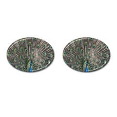 Peacock-feathers1 Cufflinks (oval) by nateshop