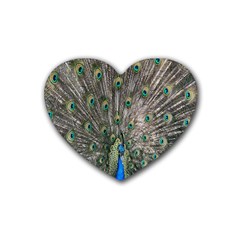 Peacock-feathers1 Rubber Coaster (heart) by nateshop