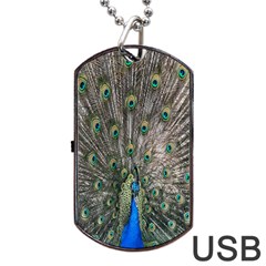 Peacock-feathers1 Dog Tag Usb Flash (one Side) by nateshop