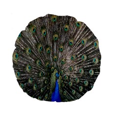 Peacock-feathers1 Standard 15  Premium Flano Round Cushions by nateshop