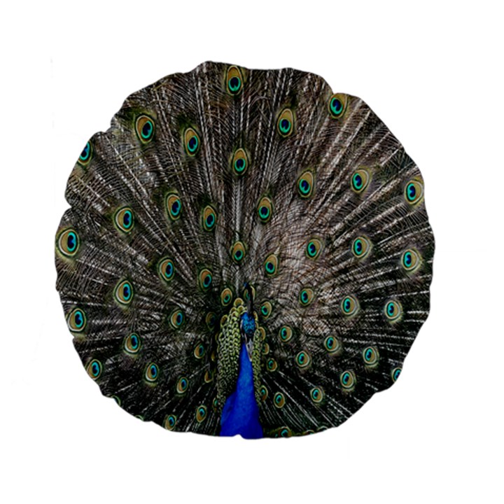 Peacock-feathers1 Standard 15  Premium Flano Round Cushions