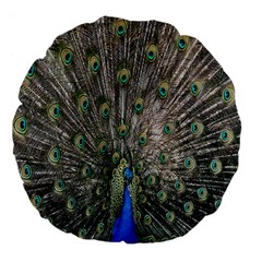 Peacock-feathers1 Large 18  Premium Flano Round Cushions by nateshop