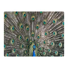 Peacock-feathers1 Two Sides Premium Plush Fleece Blanket (mini) by nateshop