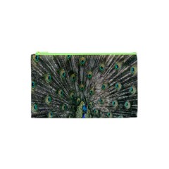 Peacock-feathers1 Cosmetic Bag (xs) by nateshop