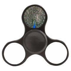 Peacock-feathers1 Finger Spinner by nateshop