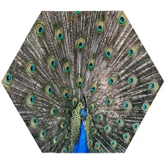 Peacock-feathers1 Wooden Puzzle Hexagon by nateshop