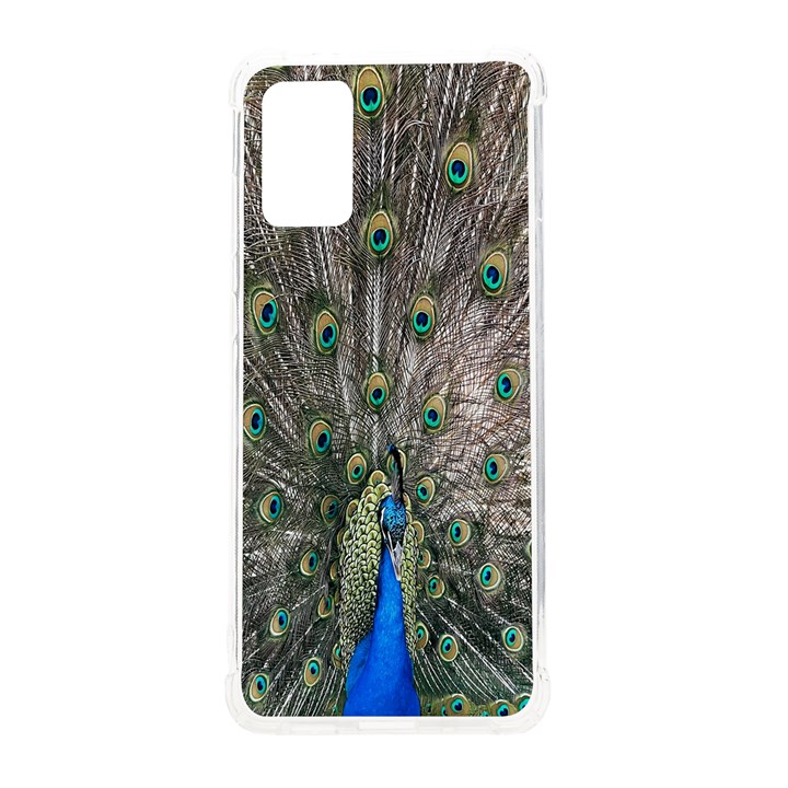 Peacock-feathers1 Samsung Galaxy S20Plus 6.7 Inch TPU UV Case