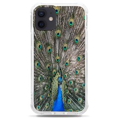 Peacock-feathers1 Iphone 12 Mini Tpu Uv Print Case	 by nateshop