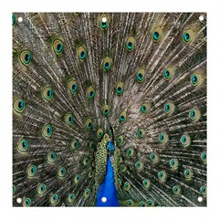 Peacock-feathers1 Banner And Sign 3  X 3  by nateshop