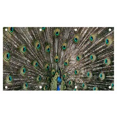 Peacock-feathers1 Banner And Sign 7  X 4  by nateshop