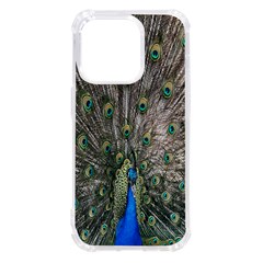 Peacock-feathers1 Iphone 14 Pro Tpu Uv Print Case by nateshop