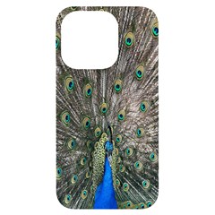 Peacock-feathers1 Iphone 14 Pro Black Uv Print Case by nateshop