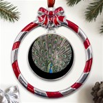 Peacock-feathers1 Metal Red Ribbon Round Ornament Front