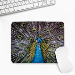 Peacock-feathers2 Small Mousepad by nateshop