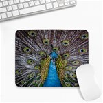 Peacock-feathers2 Small Mousepad Front