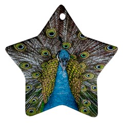 Peacock-feathers2 Ornament (star)