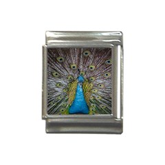 Peacock-feathers2 Italian Charm (13mm) by nateshop