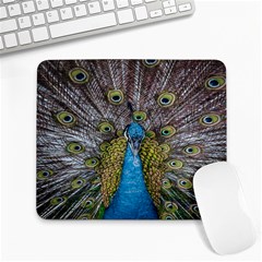 Peacock-feathers2 Large Mousepad by nateshop