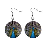 Peacock-feathers2 Mini Button Earrings Front