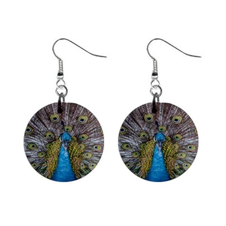 Peacock-feathers2 Mini Button Earrings