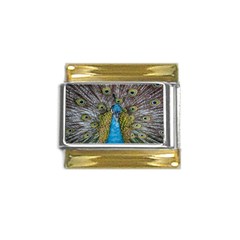 Peacock-feathers2 Gold Trim Italian Charm (9mm) by nateshop