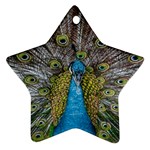 Peacock-feathers2 Ornament (Star) Front