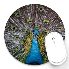 Peacock-feathers2 Round Mousepad by nateshop