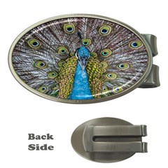 Peacock-feathers2 Money Clips (oval)  by nateshop