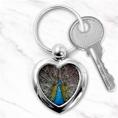 Peacock-feathers2 Key Chain (heart) by nateshop