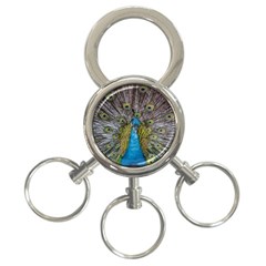 Peacock-feathers2 3-ring Key Chain by nateshop