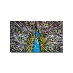 Peacock-feathers2 Sticker (rectangular)