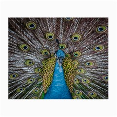 Peacock-feathers2 Small Glasses Cloth by nateshop