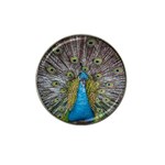 Peacock-feathers2 Hat Clip Ball Marker (4 pack) Front