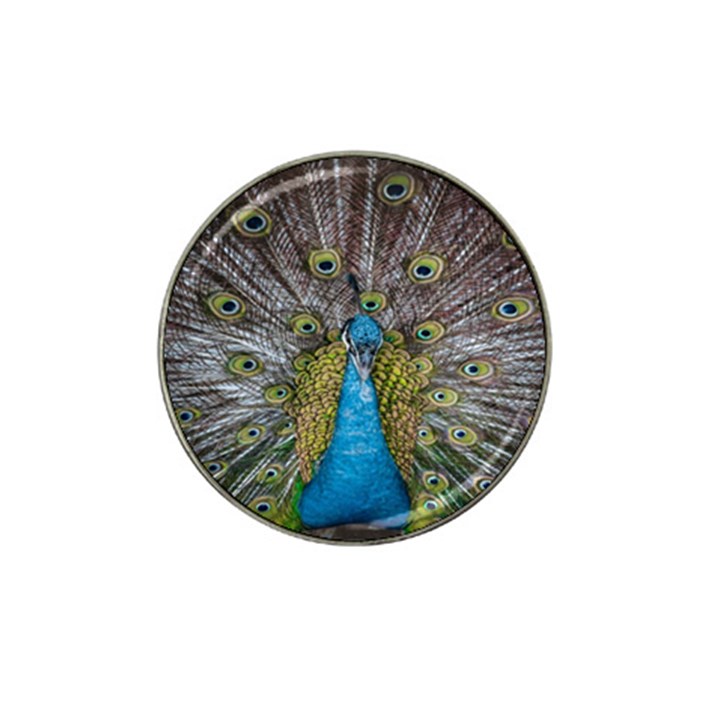 Peacock-feathers2 Hat Clip Ball Marker (4 pack)