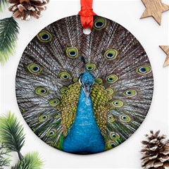 Peacock-feathers2 Round Ornament (two Sides) by nateshop