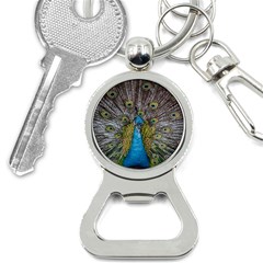 Peacock-feathers2 Bottle Opener Key Chain by nateshop