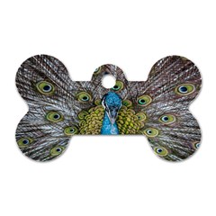 Peacock-feathers2 Dog Tag Bone (one Side) by nateshop