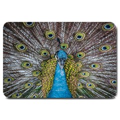 Peacock-feathers2 Large Doormat by nateshop