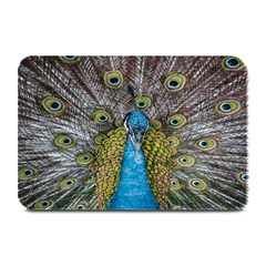 Peacock-feathers2 Plate Mats by nateshop