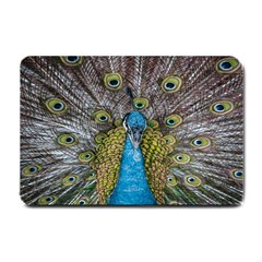 Peacock-feathers2 Small Doormat by nateshop