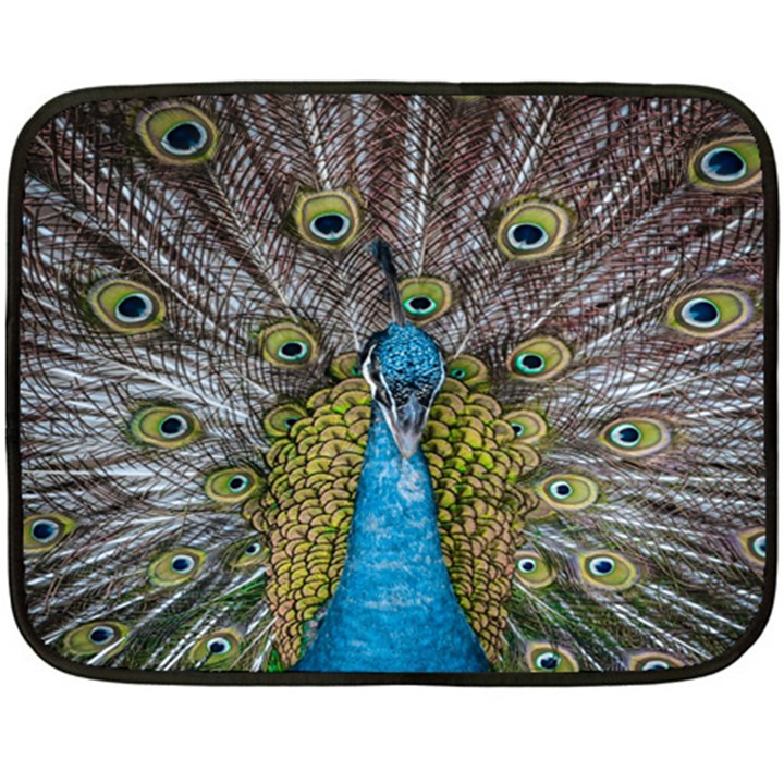 Peacock-feathers2 Fleece Blanket (Mini)