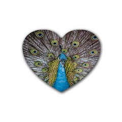 Peacock-feathers2 Rubber Coaster (heart) by nateshop