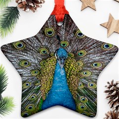 Peacock-feathers2 Star Ornament (two Sides) by nateshop