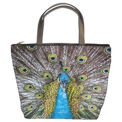 Peacock-feathers2 Bucket Bag by nateshop