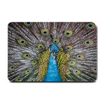 Peacock-feathers2 Small Doormat 24 x16  Door Mat