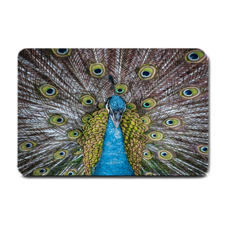 Peacock-feathers2 Small Doormat