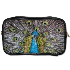 Peacock-feathers2 Toiletries Bag (one Side) by nateshop