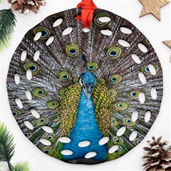 Peacock-feathers2 Ornament (round Filigree) by nateshop