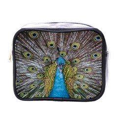 Peacock-feathers2 Mini Toiletries Bag (one Side) by nateshop